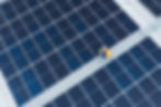 A staff checking solar panels